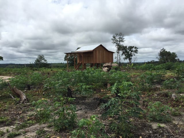 Kratie’s Indigenous Communities Fear Traditions Lost to Illegal Logging