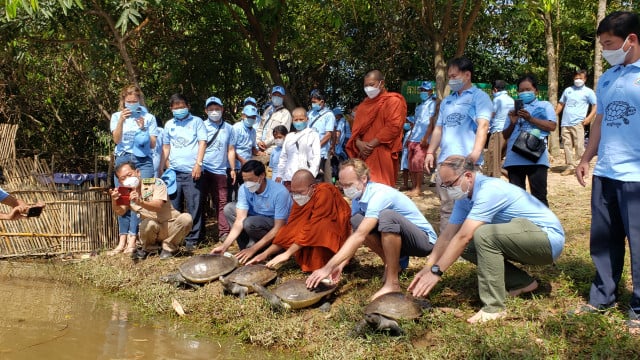 51 rare Royal Turtles freed into natural habitat in SW Cambodia: conservationist group