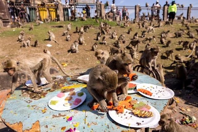 Monkey business at Thai town fruit festival