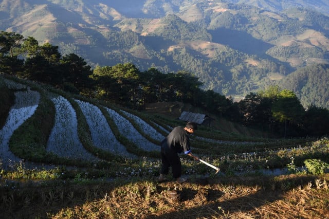 Vietnam's spectacular terraced ricefields wait for tourists