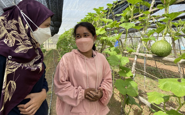 An Agriculture Graduate’s Dream Leads to Hydroponic Farming in Siem Reap Province