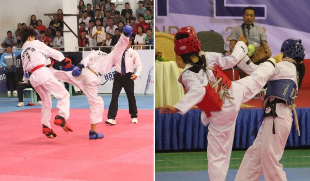 Add N. Korean Taekwondo to Games: PM