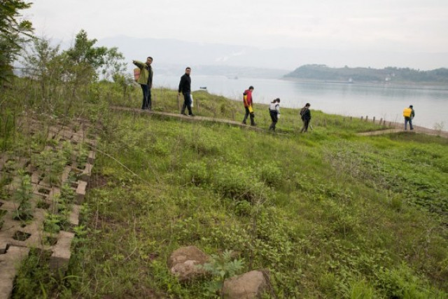 Soil erosion area of China's longest river reduces