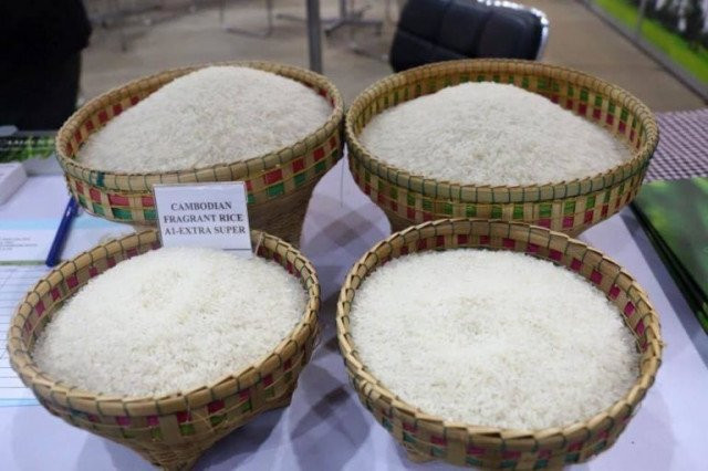 Cambodia Paid Nearly $50 Millions in Rice Export Tariffs to EU Countries in Three Years