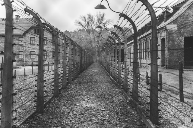 We Remember: Keeping the Memory of the Holocaust in the Digital Era