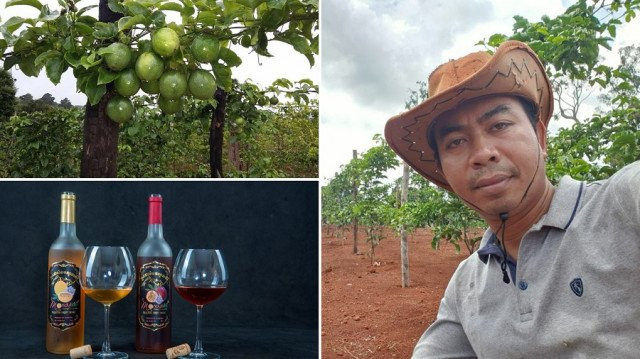 Mondulkiri Passion Fruit Wine Seeks to Expand Internationally