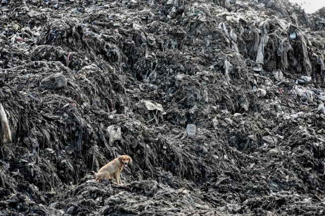 Plastic treaty would be historic for planet: UNEP chief