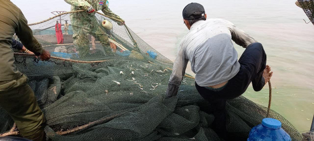 Tonle Sap Lake Fish Face Extinction