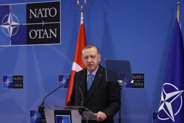 Erdogan to tell Putin to be 'architect of peace'