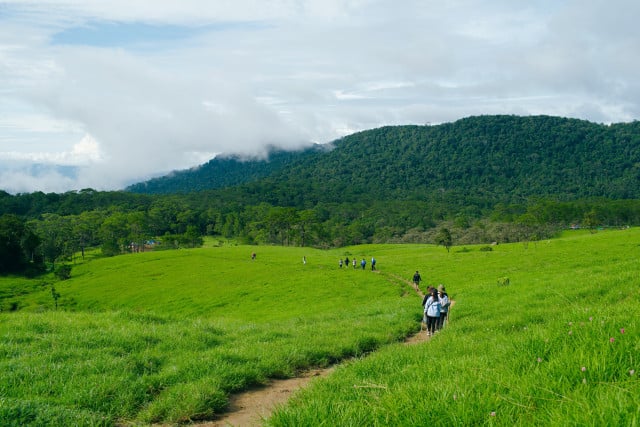 No Road Construction to Replace Hiking Trails at Khnorng Phsa Mountain, the Authorities Say