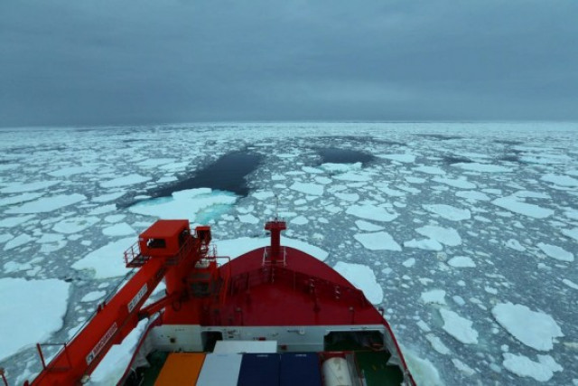 Extent of Antarctic sea ice hits record low: study