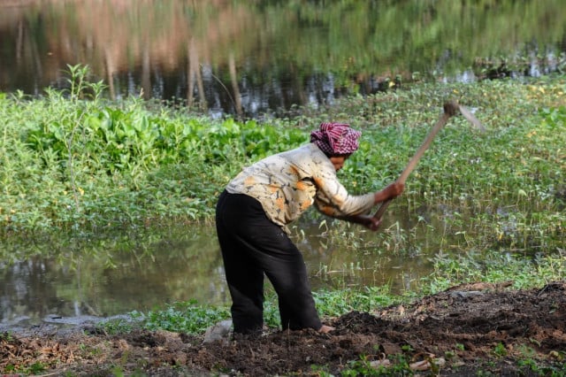 Opinion: Farmers At the Mercy of Crop Markets