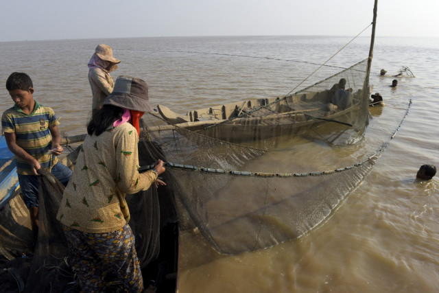 Spawning Ground Destruction Slashes Fishery Exports