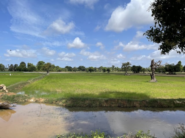 Farmers in Siem Reap Province Are Urged to Speed Up Rice Farming as Rainfalls Increase