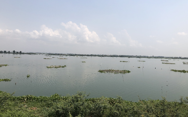 Probe Reclaimed Lake Land Deals: NGOs