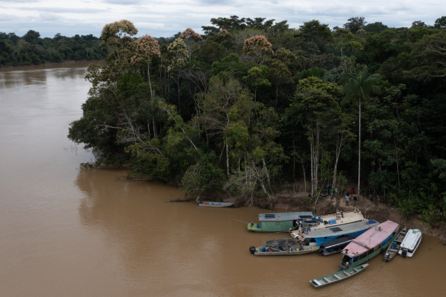 Human remains found in Amazon search for journalist, expert