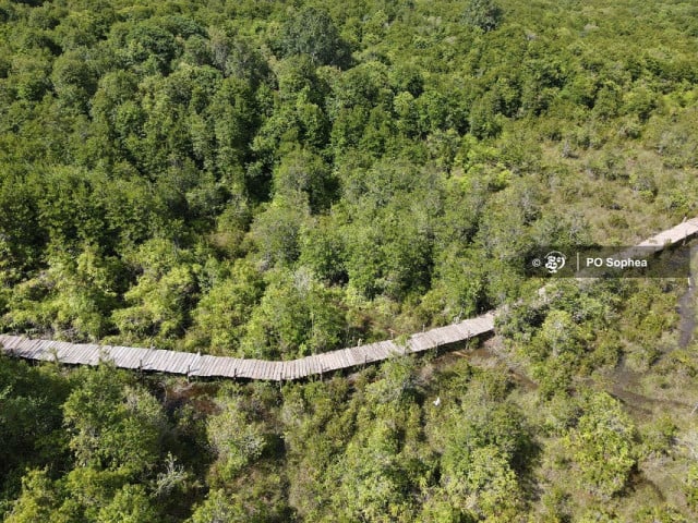 Ecotourism Community Builds Mangrove Walkway