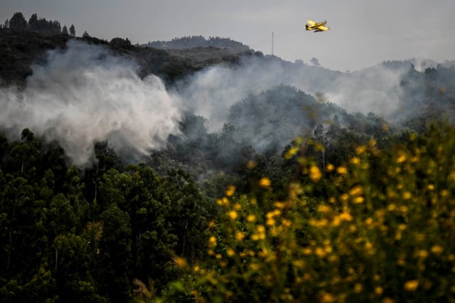 Europe heat sparks harmful ozone pollution, 'extreme' fire risk