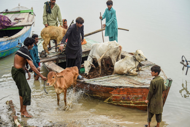 Pakistan's south braces for deluge from swollen northern rivers