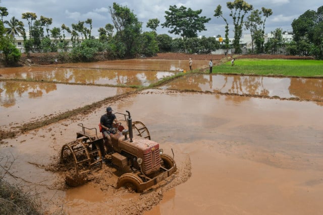 Countries growing 70% of world's food face 'extreme' heat risk by 2045