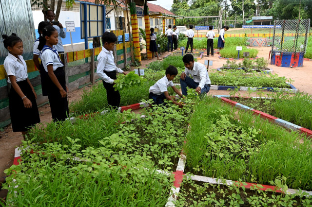 School gardens a lifeline for hungry Cambodian children
