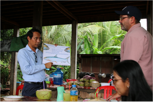 Elusive Giant Salmon Carp Discovered in the Mekong-Stung Treng after 20 years