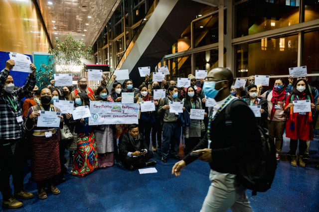 Still no major progress toward 'peace pact with nature' at COP15