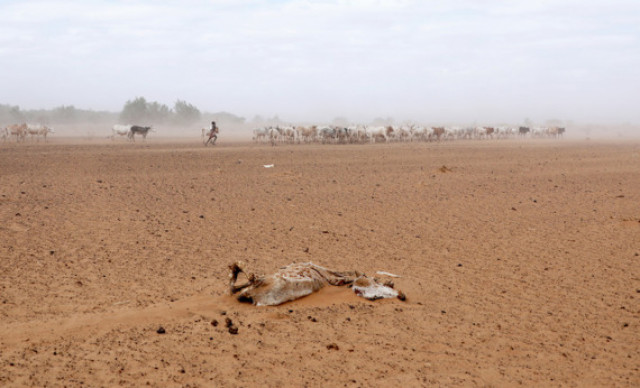 UN agency warns of worsening humanitarian crisis in Horn of Africa