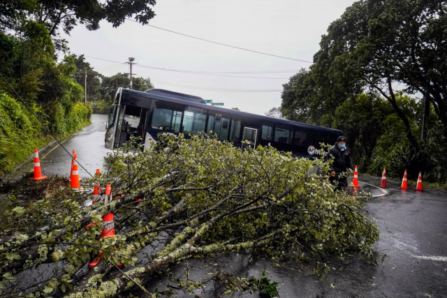 Cyclone-battered New Zealand declares national emergency
