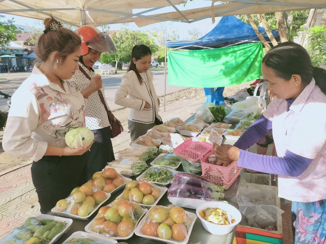 Preah Vihear 100 Percent Organic: A Switch without a Future?