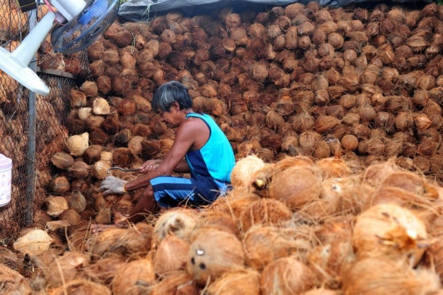 China Focus: China, ASEAN aim for deepened agriculture cooperation