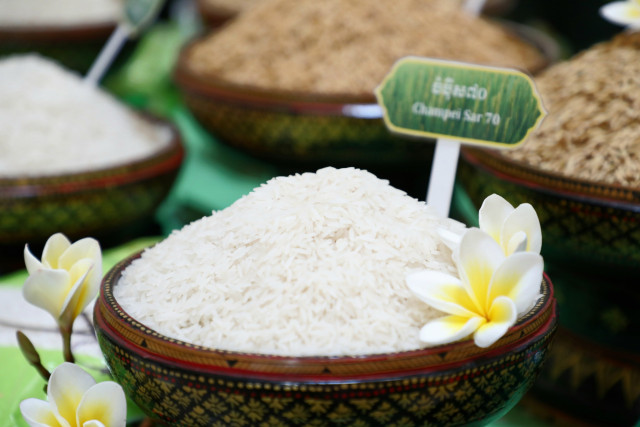 Cambodia, Australia Launch New Fragrant Rice Variety