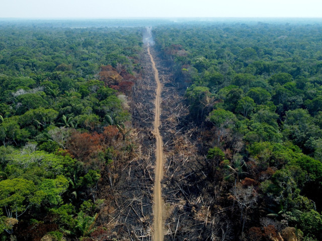 Despite Lula's promises, deforestation still rampant in Brazil