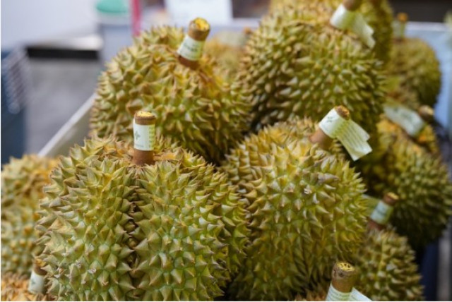 Philippines Ships 1st Batch of Durian Fruits to China