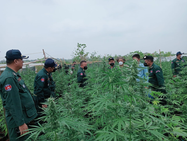 Vietnamese Nationals Arrested for Drug Production