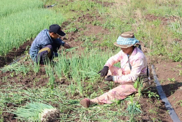 Rising Temperatures Put Pressure on Farmers