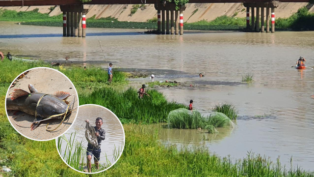 A River Believed to be Polluted by a Factory Is Affecting Fish in Kampong Speu Province 