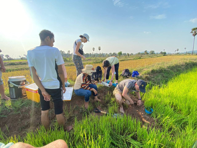 Students Explore New Method to Farm Rice During Dry Season