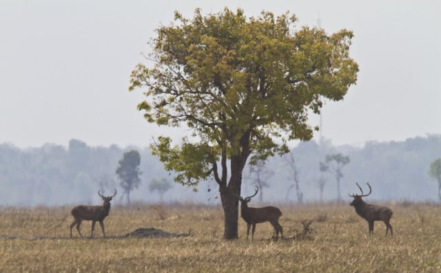 Cambodian Parliament Adopts Long-awaited Code of Environment, Natural Resources