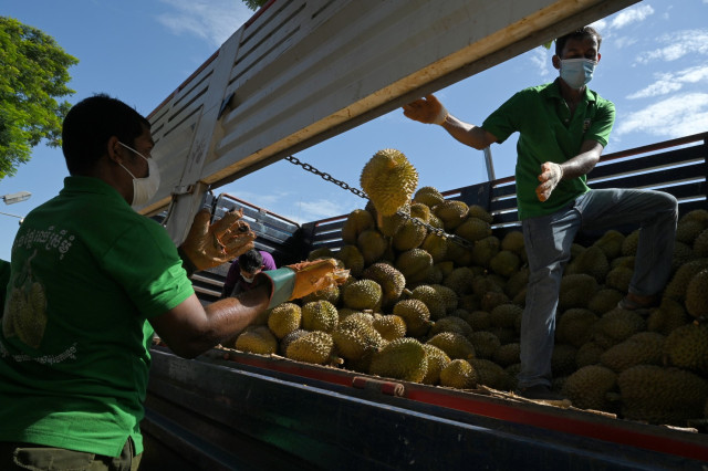 Geographic Indicator Protection Sought for Kampot Durian