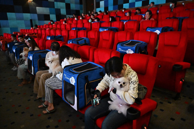 Paws and Popcorn: Thai Cinema Goes Pet-friendly