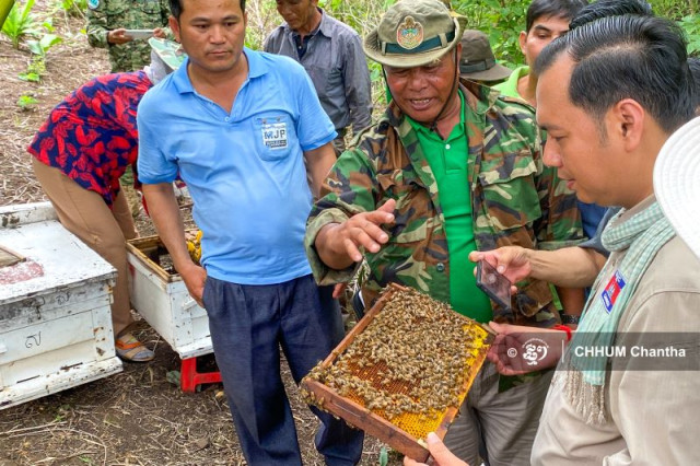 An Angelina Jolie Foundation Bee-Raising Project Thrives in Battambang Province 