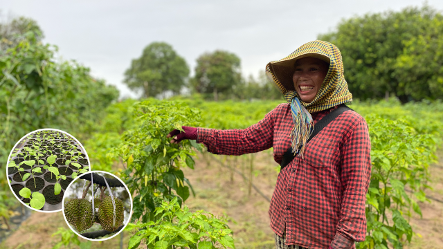 Around 250 Families in Koh Kong Province Happy to Have Turned Away from Logging and Hunting for Farming