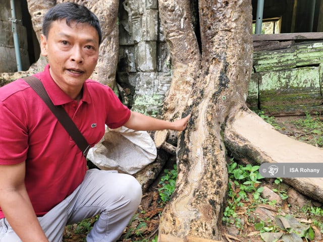 Ta Prohm: Maintaining the Trees to Protect the Temple