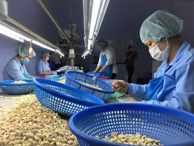 Vietnam cuts cashew export target amid low demand