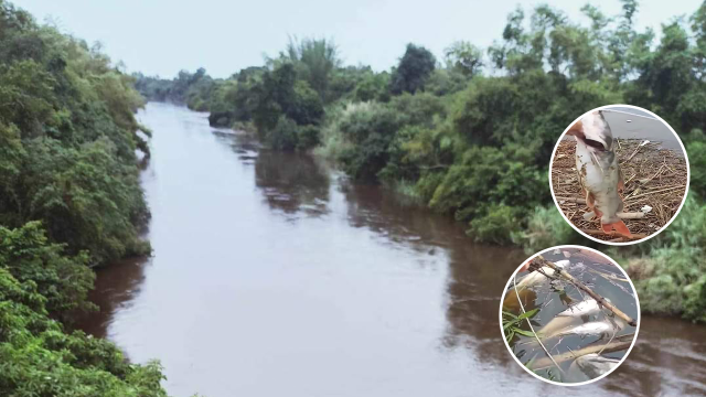 Polluted Water in Sangke River Found to Be Liquid Waste from a Factory 