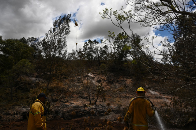 Hawaii Fire Death Toll Nears 100, and Anger Grows
