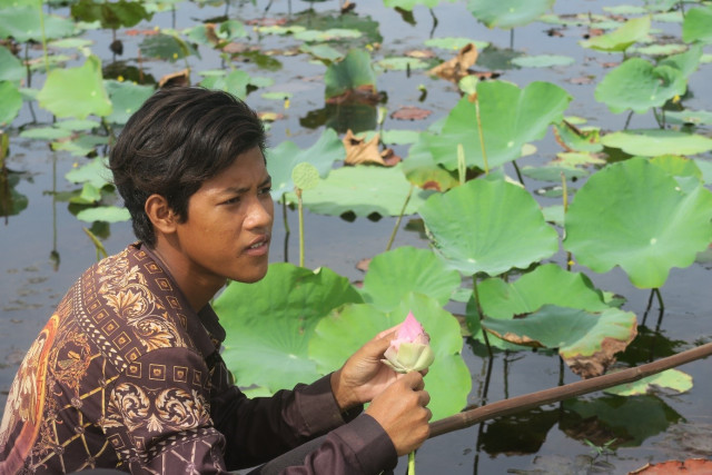 Eco-Farm Crafts a Business out of Lotus Plants