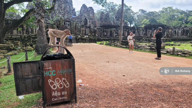 Monkeys in Angkor Park: Aggressive or Just Hungry?
