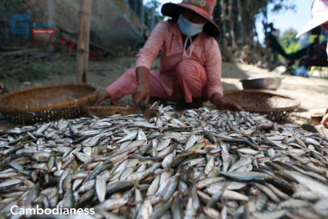 Cambodia Begins 1st Direct Shipment of Wild Aquatic Products to China